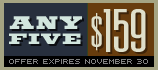 5 fonts for $159
