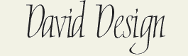 LHF David Design - Thin serif formal style font
