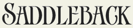 LHF Saddleback - Condensed western style font