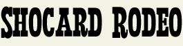 LHF Shocard Rodeo - Condensed western style font