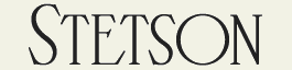 LHF Stetson - Condensed light roman style font